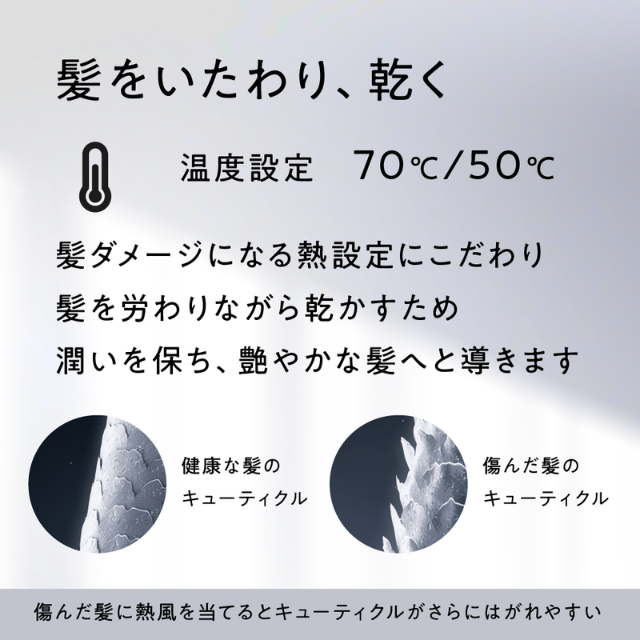 アイビル プロドライヤー 1200