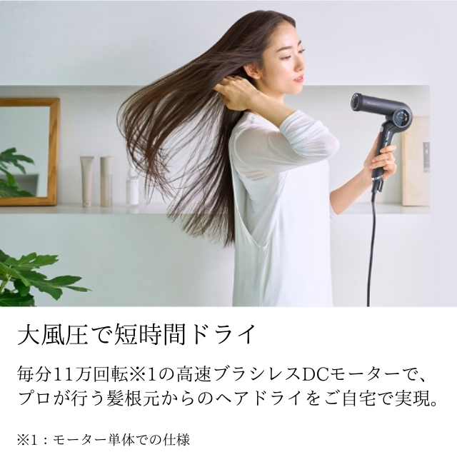 Nobby+ (ノビー) ND540A プロテクトイオンヘアードライヤー*