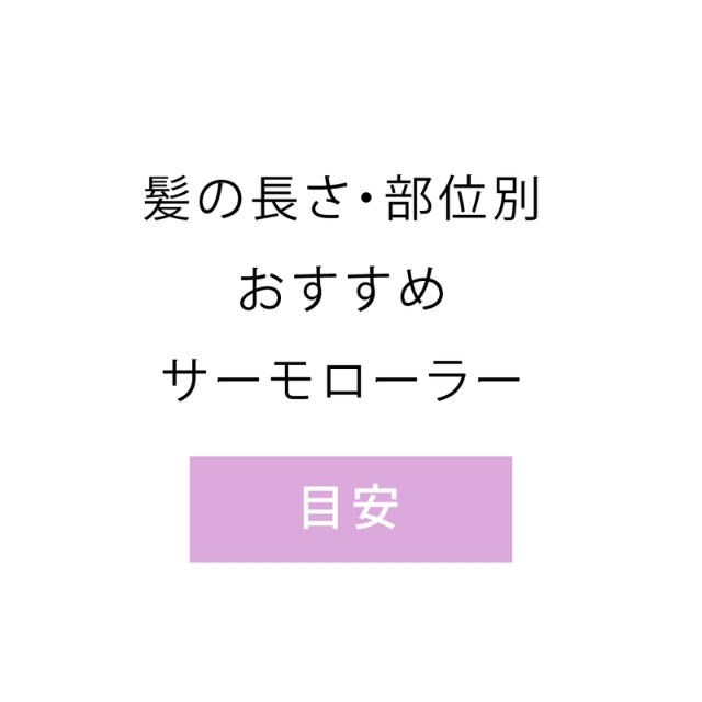 アイビル サーモローラーSE ロング 3個入り