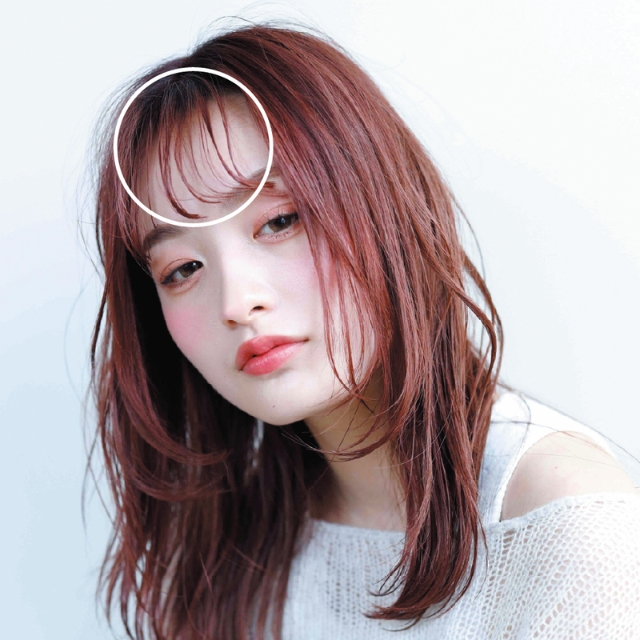 アイビル サーモローラーSE ロング 3個入り