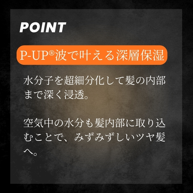 P-UP CREA®  ヘアドライヤー Ⅱ