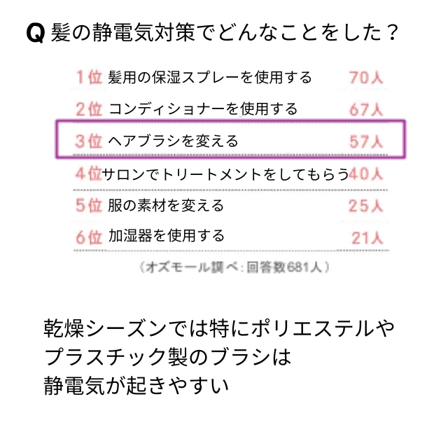 デンマン D81M シャインブラシ ミディアム