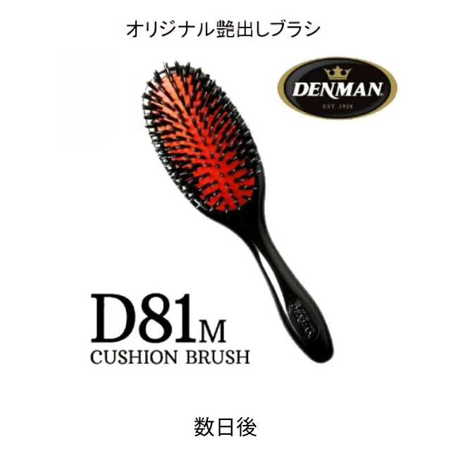デンマン D81M シャインブラシ ミディアム