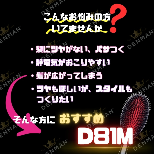 デンマン D81M シャインブラシ ミディアム