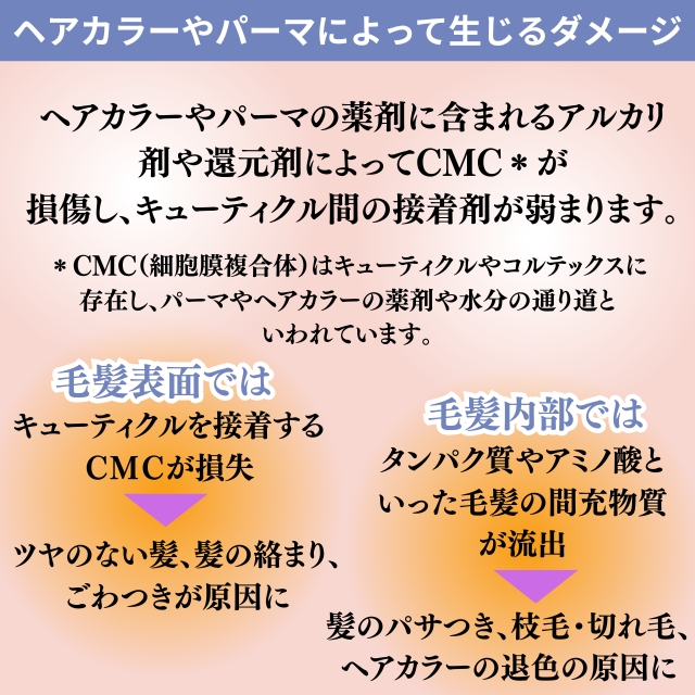 ソンク トリートメント1 1000g