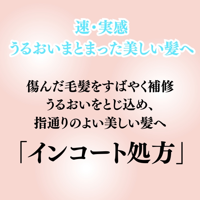 ソンク トリートメント3 1650g