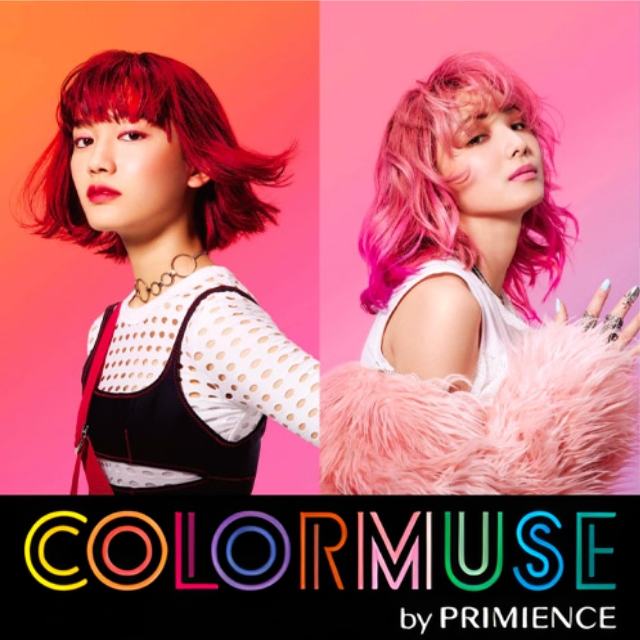 プリミエンス カラーミューズ カラークリーム 240g