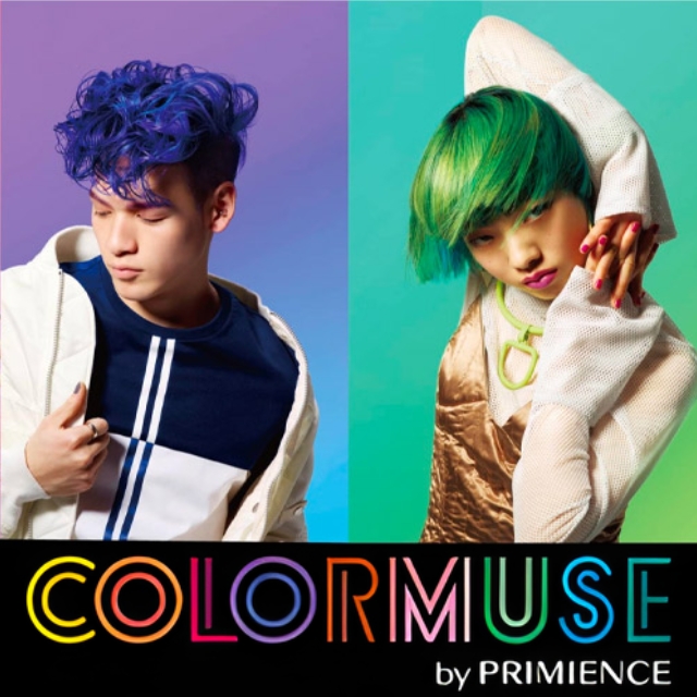 プリミエンス カラーミューズ カラークリーム 240g