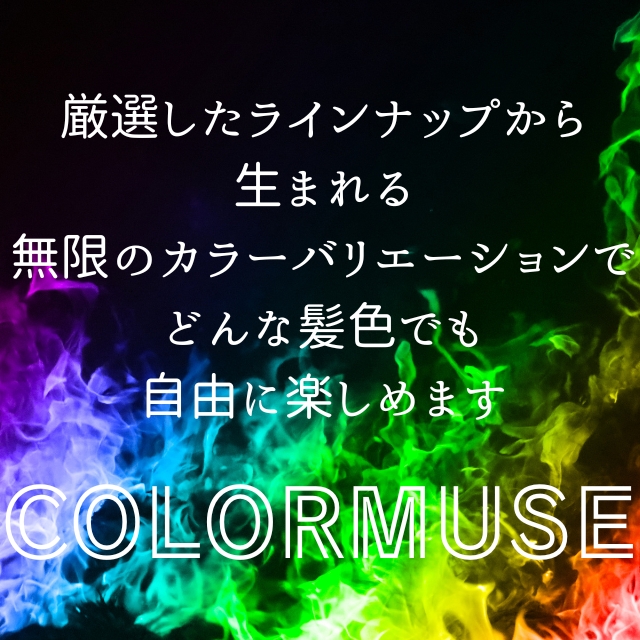 プリミエンス カラーミューズ カラークリーム 240g