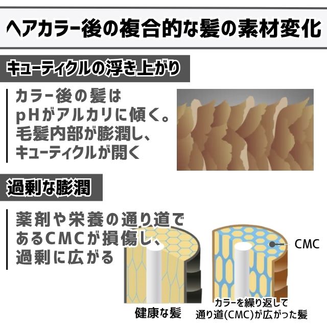 ホーユー プロマスター カラーケア システムトリートメント インサイドケア