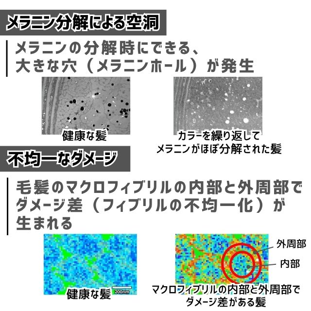 ホーユー プロマスター カラーケア システムトリートメント インサイドケア