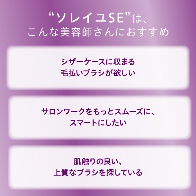 アイビル フェイスブラシ ソレイユSE