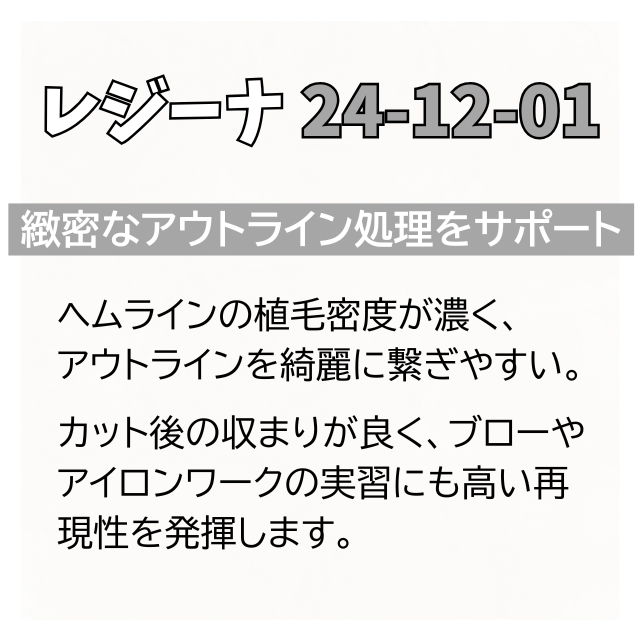 レジーナ 美容実技試験第1課題カッティング用ウィッグ 24-12-01