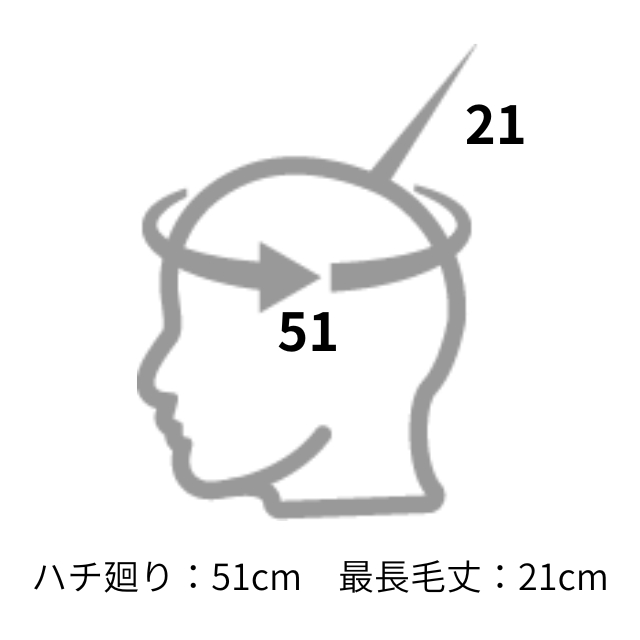 レジーナ 美容実技試験第1課題カッティング用ウィッグ 24-12-01