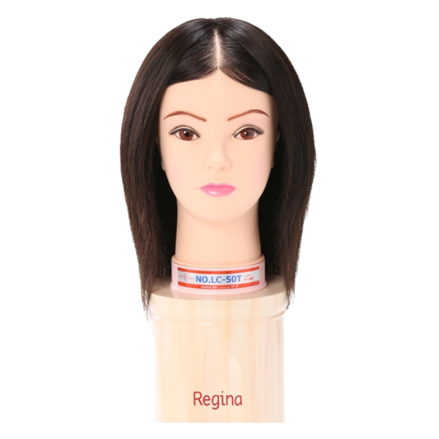 レジーナ LC-50T 美容師実技試験練習用