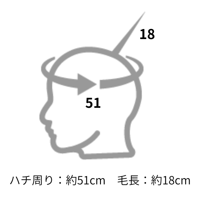 レジーナ LC-50T 美容師実技試験練習用