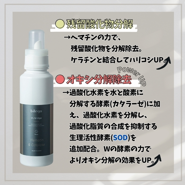 ビレゴ マイブリッジ 500ml