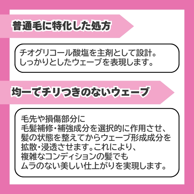 PERFORM (パフォーム)＋N 1剤 400ml