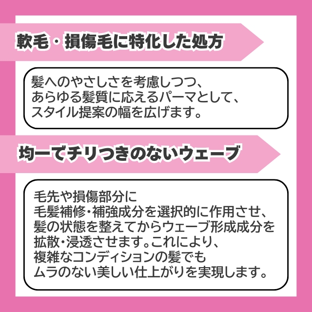 PERFORM (パフォーム)+S 1剤 400ml