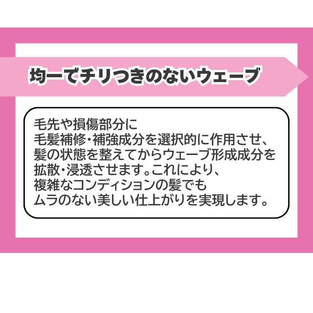 PERFORM (パフォーム)＋2剤 400ml