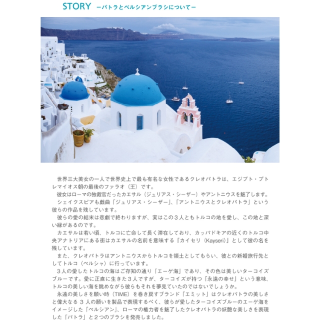 エミット スカルプブラシ