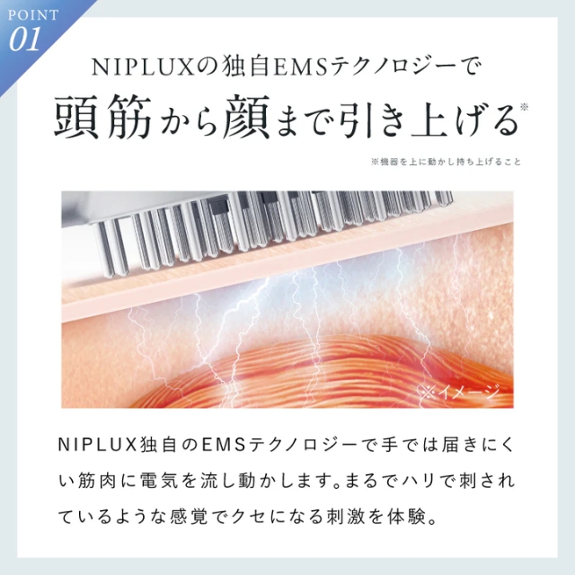 NIPLUX(ニップラックス) EMS CARE BRUSH NP-ECB24BK