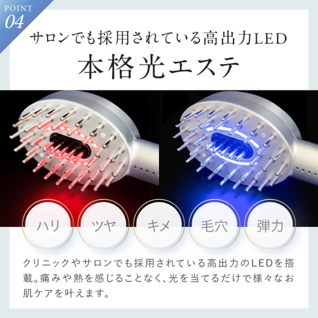 NIPLUX(ニップラックス) EMS CARE BRUSH NP-ECB24BK