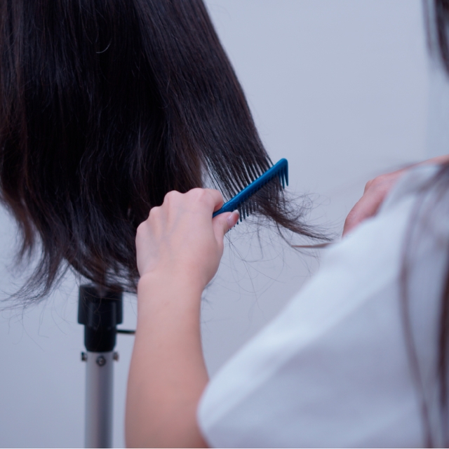 ニュートライポッド ハードケース付 MS-25G01