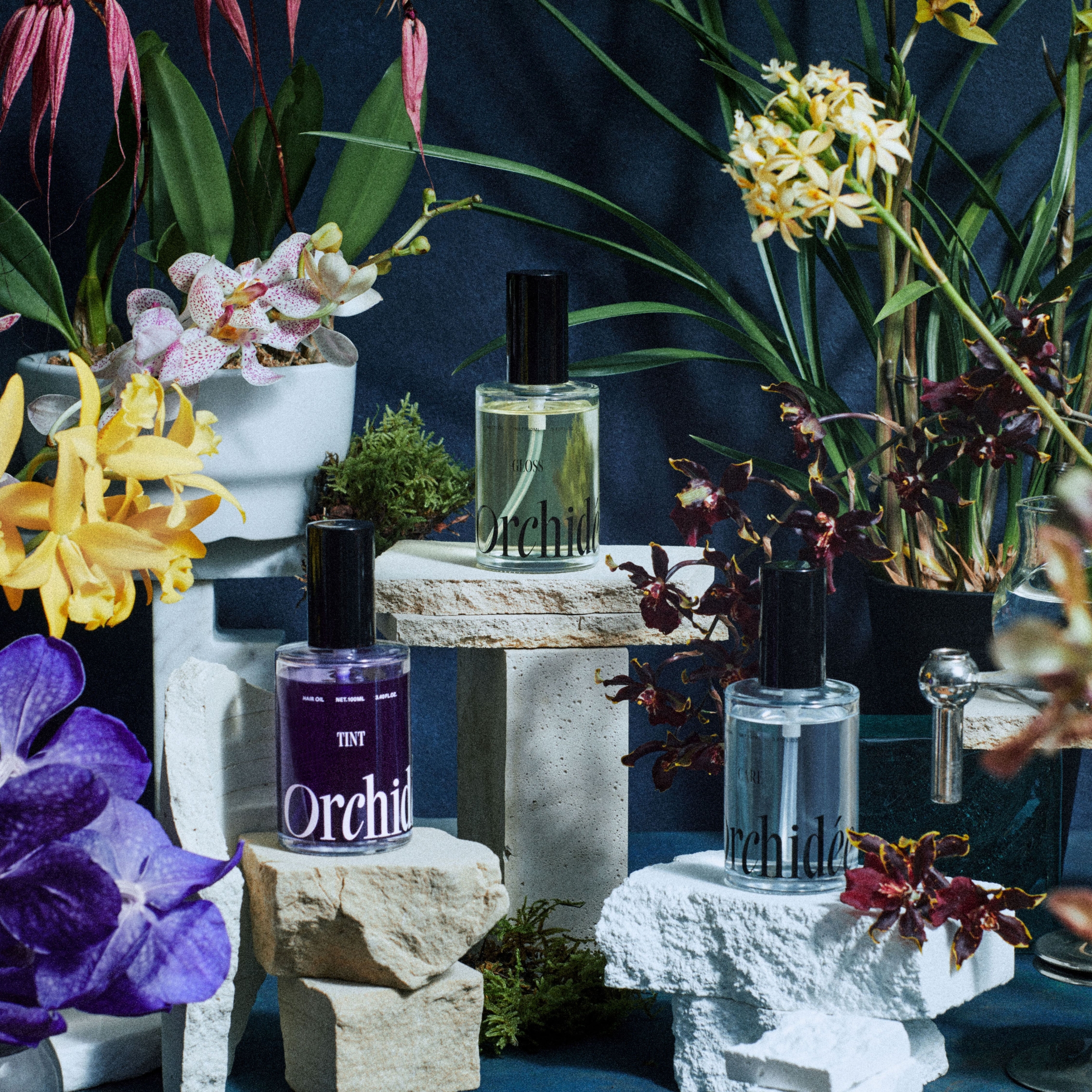 メゾン オルキデ ケアオイル