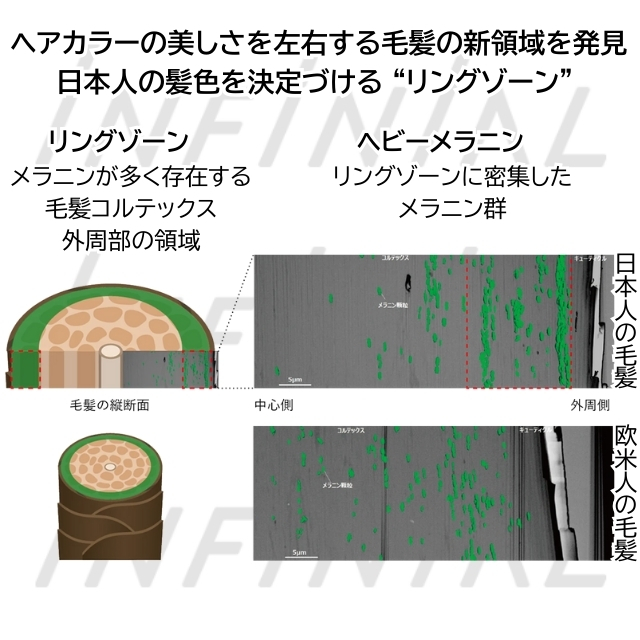 INFINIAL(インフィニアル) キレートオキシ 1000ml