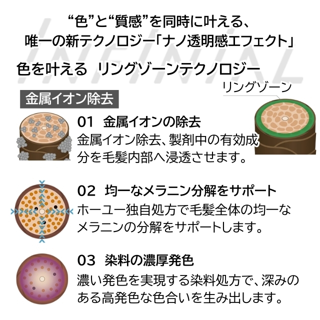 INFINIAL(インフィニアル) CTフォーム 1000ml