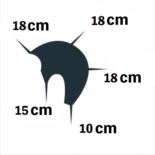 東京チャーム #818**