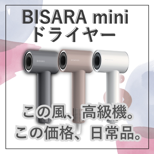 ビサラ ミニ BISARA mini 大風量 速乾 温度調節機能付き ミニマルデザイン ドライヤー